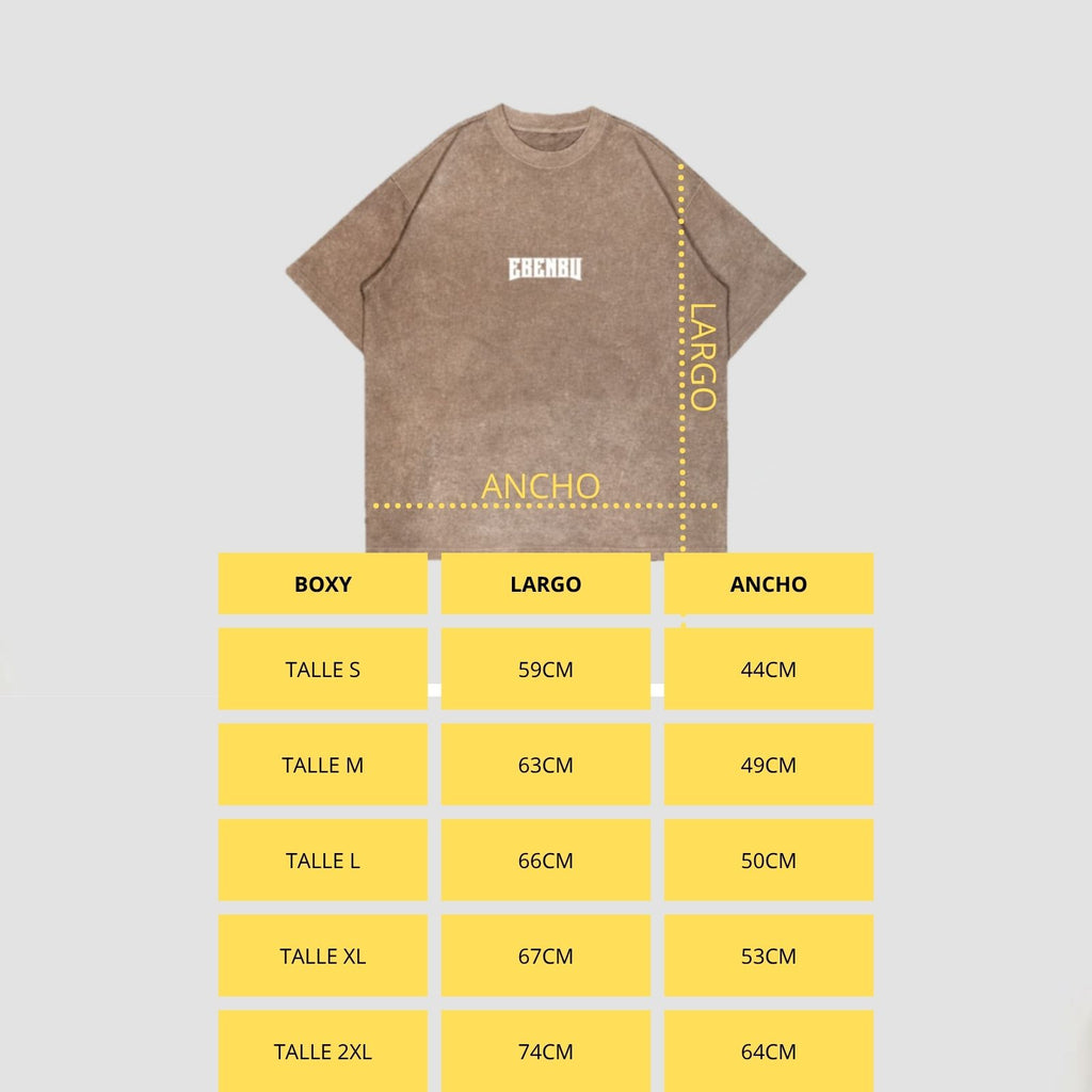 Remera Stonewash "Arena V1"
